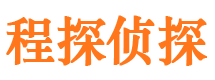 海伦市调查公司